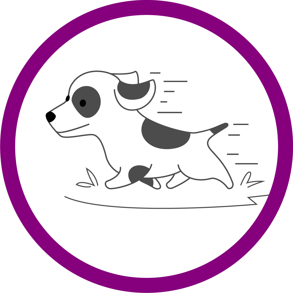 Стъпка 3 – Готов портрет Завършен портрет на любимец